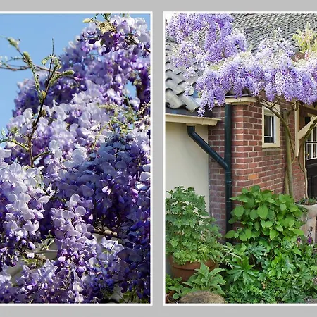 Apartamento Hoevell *