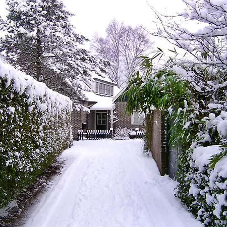 Hoevell Apartament *