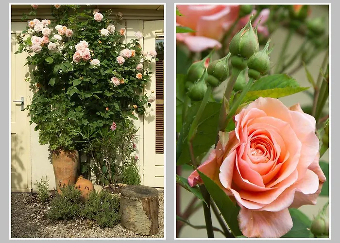 Διαμέρισμα Hoevell *