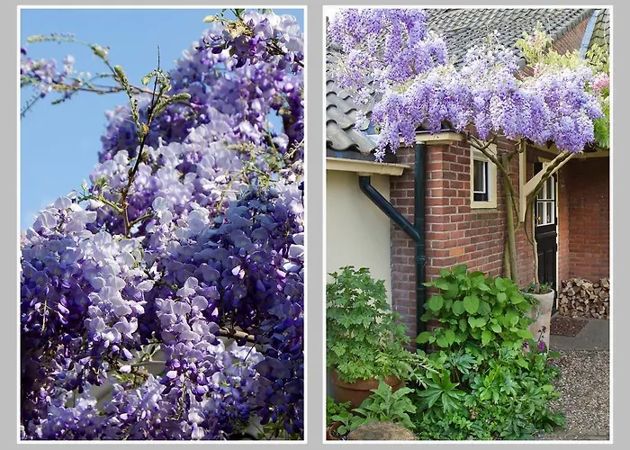 Διαμέρισμα Hoevell *